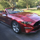Illustration for article titled Svend-ed the Mustang